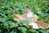 Dịch vụ săn ảnh hoa sen mùa hè  phong cảnh thơ mộng kết hợp với vẻ đẹp tự nhiên (2)