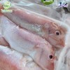 Cá Hường Cung cấp mua bán Cá Hường giá rẻ tốt sỉ uy tín chất lượng (1)