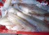 Hải sản mỗi ngày Cung cấp mua bán Mực ống tươi giá rẻ tốt sỉ bao nhiêu 1kg (1)