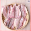 Khô một nắng cá lù đù Cung cấp mua bán Cá đù giá rẻ tốt sỉ uy tín (1)