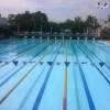 Top 10 Bể bơi công cộng có giá vé rẻ và chất lượng nhất Đồng Nai sẵn sàng hỗ trợ