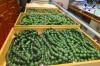 Top 10 Cửa hàng bán vòng đá phong thủy uy tín nhất Cà Mau độc nhất