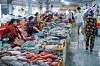 Top 10 Địa chỉ bán hải sản tươi sống chất lượng nhất Đắk Lắk được đánh giá cao (1)