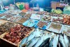 Top 10 Địa chỉ bán hải sản tươi sống chất lượng nhất Thanh Hóa thoải mái chọn lựa