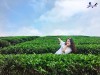 Top 12 Danh lam thắng cảnh đẹp nhất tại Thái Nguyên để bạn thỏa sức khám phá (1)