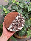 Top 13 cửa hàng bánh sinh nhật nổi tiếng Tây Ninh chiếc bánh ngon nhất cho mọi dịp