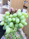 Top 4 Địa chỉ bán trái cây nhập khẩu chất lượng Sơn La bảo đảm vệ sinh thực phẩm