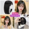 Top 5 Cửa hàng bán tóc giả chất lượng và uy tín nhất Vĩnh Long an tâm mua sắm
