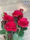 Top 5 Địa chỉ bán hoa giả đẹp nhất Quảng Ngãi đảm bảo sự hài lòng tối đa (2)