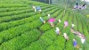 Top 5 Làng nghề truyền thống nổi tiếng nhất Tuyên Quang mang lại thu nhập cho người dân