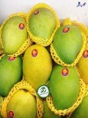 Top 6 Địa chỉ bán trái cây nhập khẩu chất lượng Hưng Yên được đánh giá cao