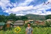 Top 7 Danh lam thắng cảnh đẹp nhất tại Lào Cai cần chúng ta khám phá (3)