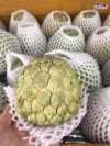 Top 8 Địa chỉ bán trái cây nhập khẩu chất lượng Thừa Thiên – Huế sạch an toàn