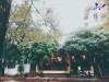 Top 8 Phòng trà nổi tiếng nhất Tuyên Quang góc yêu thích để thưởng thức cảnh chill (3)
