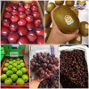 Top 9 Địa chỉ bán trái cây nhập khẩu chất lượng Đắk Lắk giá thành tốt (5)