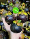 Top 9 Địa chỉ bán trái cây nhập khẩu chất lượng Khánh Hòa cực tươi ngon (4)