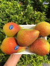 Top 9 Địa chỉ bán trái cây nhập khẩu chất lượng Lai Châu cam kết chất lượng