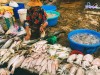 Top Địa chỉ bán hải sản tươi sống chất lượng nhất Sơn La tươi ngon