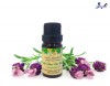 Top Địa chỉ mua tinh dầu tốt nhất Đắk Lắk bạn có thể tham khảo