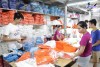 Xưởng sỉ áo, vải thun thái lan nam nữ Nha Trang Khánh Hòa xách tay chính hãng (2)