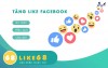 Top 12 dịch vụ tăng like giá rẻ chất Tây Ninh bạn không nên bỏ qua