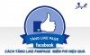 Top 3 dịch vụ tăng like giá rẻ chất Hải Phòng được tư vấn miễn phí