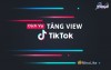 Top 3 dịch vụ tăng view giá rẻ chất Đồng Hới Quảng Bình tư vấn kĩ lưỡng