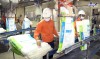 Top 4 bán thức ăn gia súc gia cầm Hòa Bình hỗ trợ bà con chăn nuôi hiệu quả