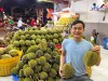 Top 4 cung cấp bán sầu riêng giá rẻ tốt chất lượng Hải Dương làm bạn hài lòng (2)