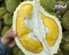 Top 4 cung cấp bán sầu riêng giá rẻ tốt chất lượng Phan Rang - Tháp Chàm Ninh Thuận tươi ngon nhất
