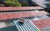 Top 5 bán cung cấp bò 1 nắng giá rẻ sỉ ngon Phan Rang - Tháp Chàm Ninh Thuận hương vị độc đáo