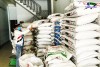 Top 5 bán thức ăn gia súc gia cầm Điện Biên Phủ không chứa chất cấm và hóa chất độc hại