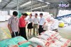 Top 5 bán thức ăn gia súc gia cầm Kon Tum giúp tăng trưởng cực nhanh