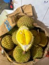Top 5 cung cấp bán sầu riêng giá rẻ tốt chất lượng Lai Châu phong phú và đa dạng