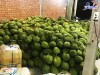 Top 5 cung cấp bán sầu riêng giá rẻ tốt chất lượng Tuyên Quang thoải mái thưởng thức