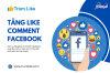Top 5 dịch vụ tăng like giá rẻ chất Đồng Hới Quảng Bình nổi tiếng nhất