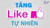 Top 7 dịch vụ tăng like giá rẻ chất Sài Gòn Hồ Chí Minh một giải pháp hữu ích