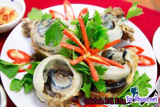 Du lịch Ghềnh Đá Đĩa Phú Yên - Đặc sản Ghềnh Đá Đĩa