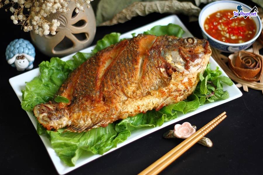 Món ngon từ cá vược Cung cấp mua bán Cá vược chiên giá rẻ tốt sỉ top 11 món từ cá này (1)