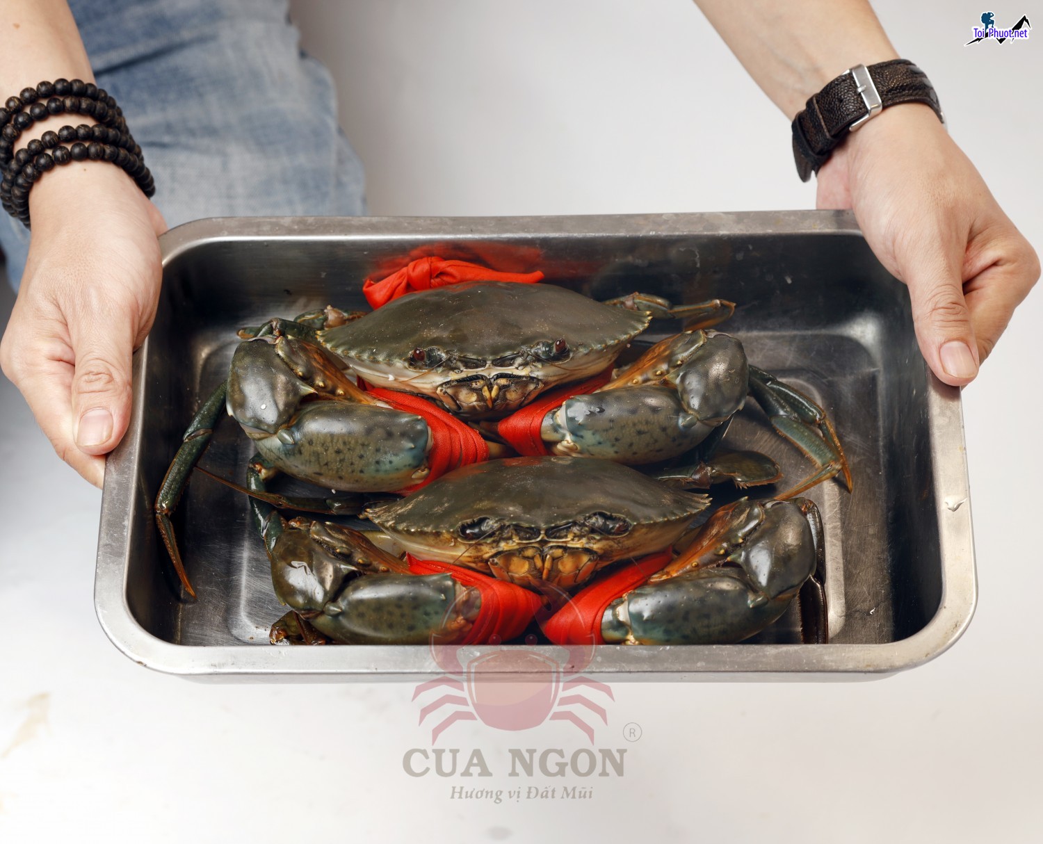 5 địa chỉ mua cua Cung cấp mua bán giá rẻ tốt sỉ uy tín chất lượng HCM (1)