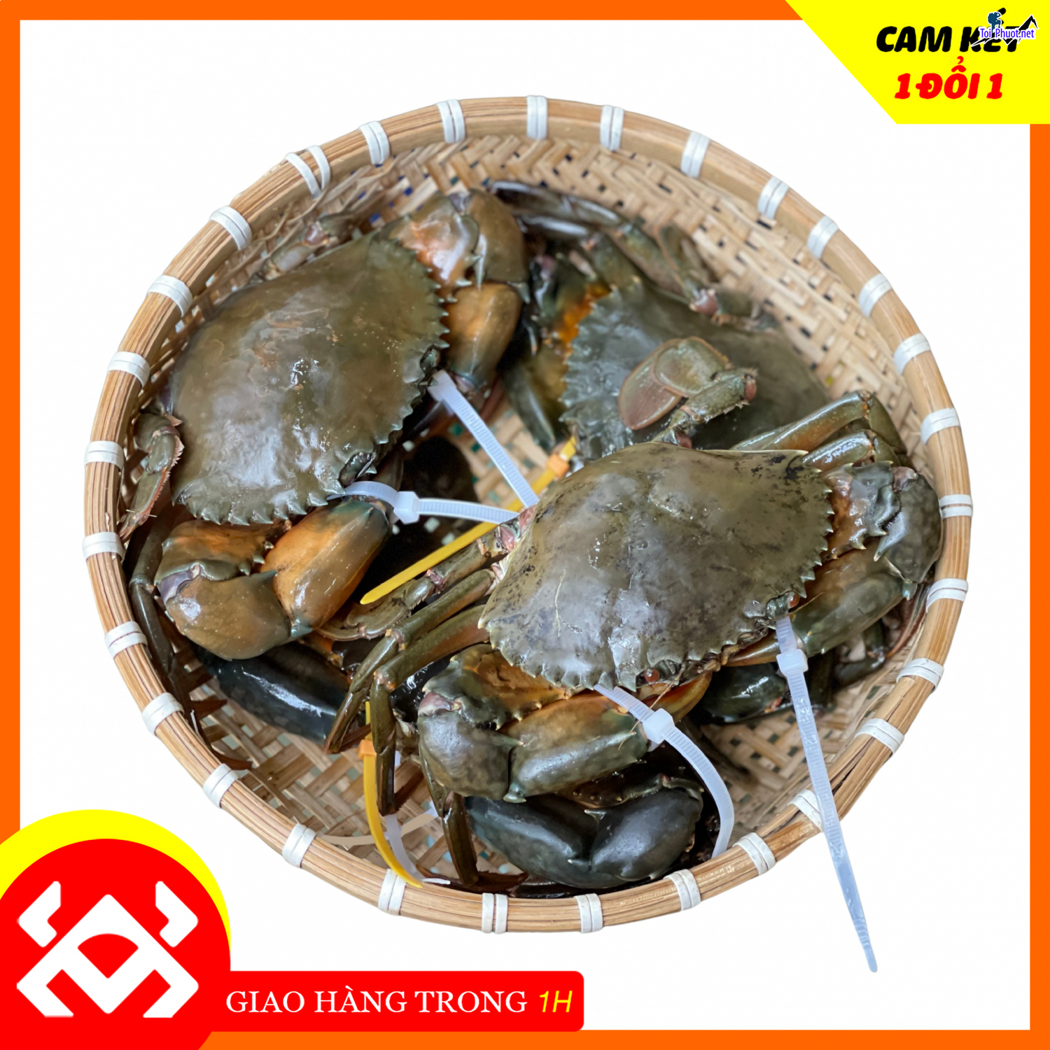 5 địa chỉ mua cua Cung cấp mua bán giá rẻ tốt sỉ uy tín chất lượng HCM (1)