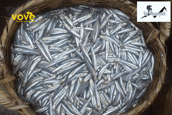Cá cơm chiên giòn Cung cấp mua bán Cá chiên giòn giá rẻ tốt sỉ ăn liền 500gr