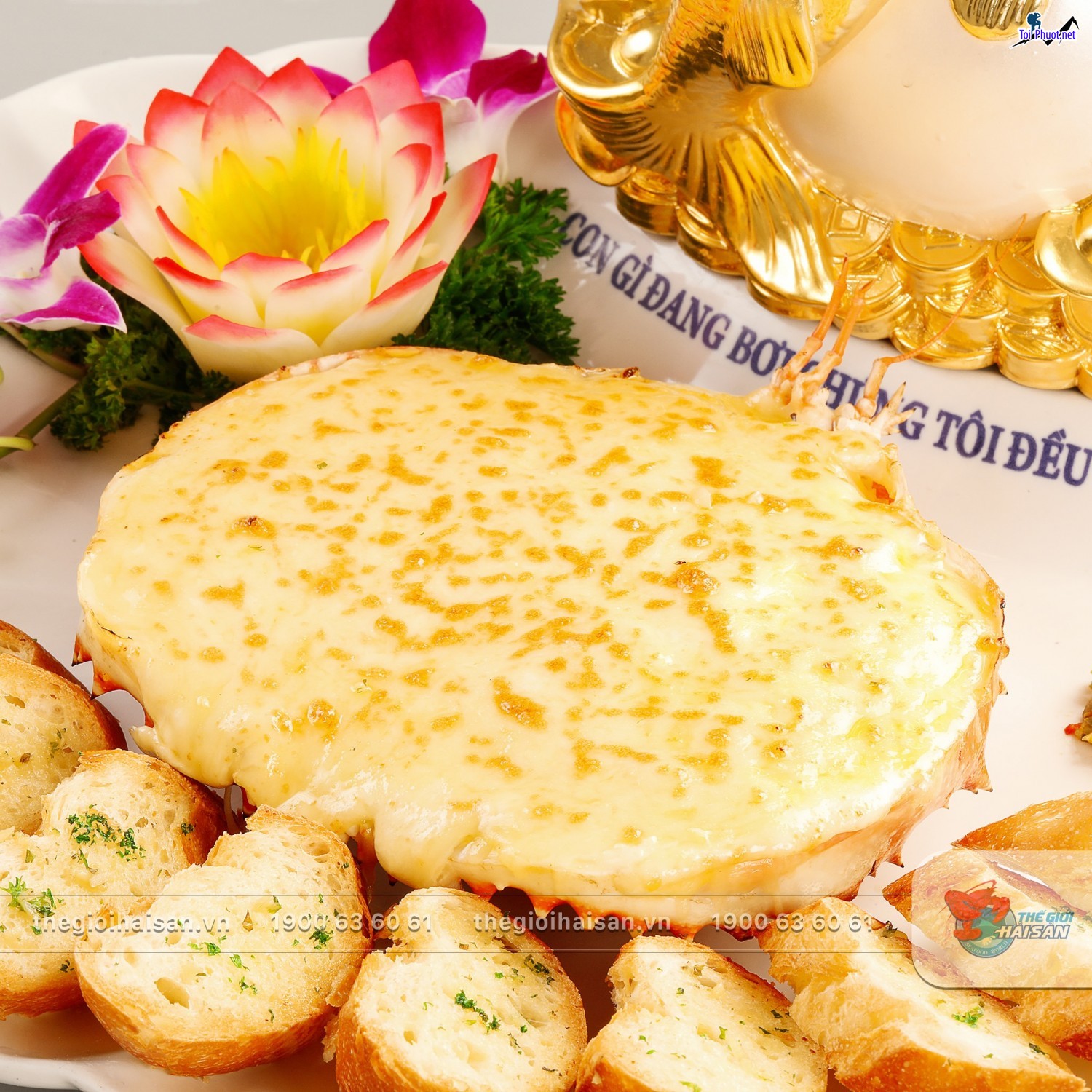 Cua hoàng đế nướng phomai Cung cấp mua bán Cua hoàng đế nướng giá rẻ tốt sỉ (2)