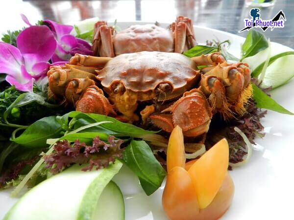 Cua lông HongKong Cung cấp mua bán giá Cua lông rẻ tốt sỉ (1)