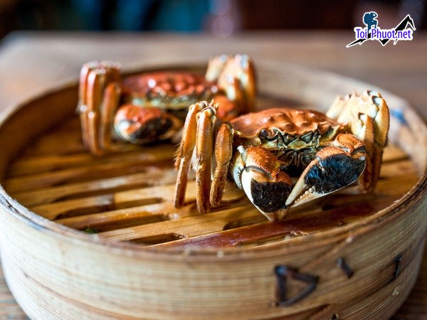 Cua lông HongKong Cung cấp mua bán giá Cua lông rẻ tốt sỉ (3)