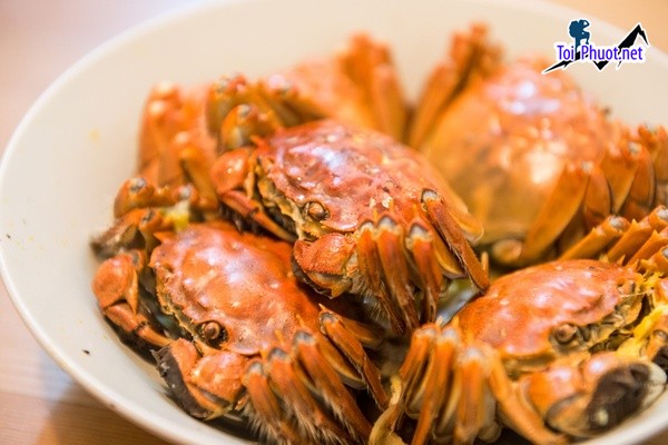 Cua lông HongKong Cung cấp mua bán giá Cua lông rẻ tốt sỉ  (4)