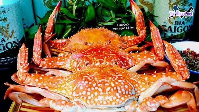 Dịch vụ Cung cấp mua bán Ghẹ hấp bia giá rẻ tốt sỉ uy tín chất lượng (3)