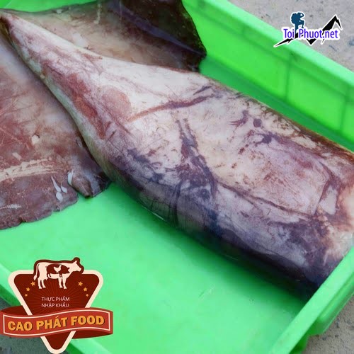 Giá mực xà Cung cấp mực Hưng Yên hải sản tươi sống giá sỉ tốt rẻ an toàn (1)