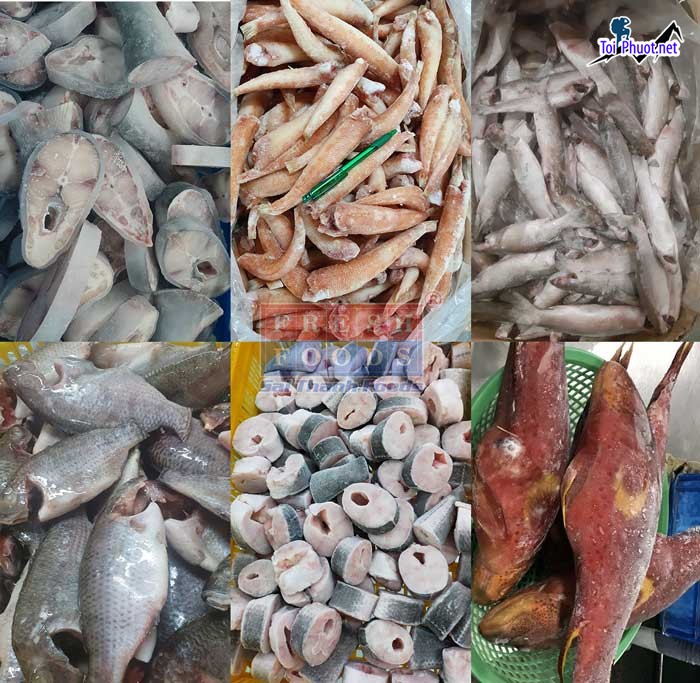 Nguồn hải sản cung cấp hải sản Quảng Ngãi sỉ giá rẻ tốt đa dạng loại khác nhau (1)