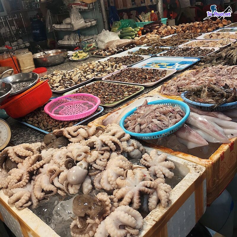Nguồn hải sản cung cấp hải sản Quảng Ngãi sỉ giá rẻ tốt đa dạng loại khác nhau (2)